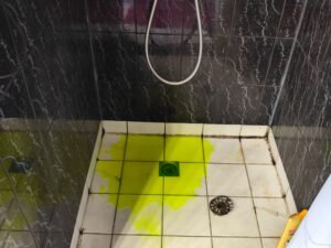 img 20260306 111334